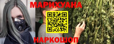 мдпв Камышлов